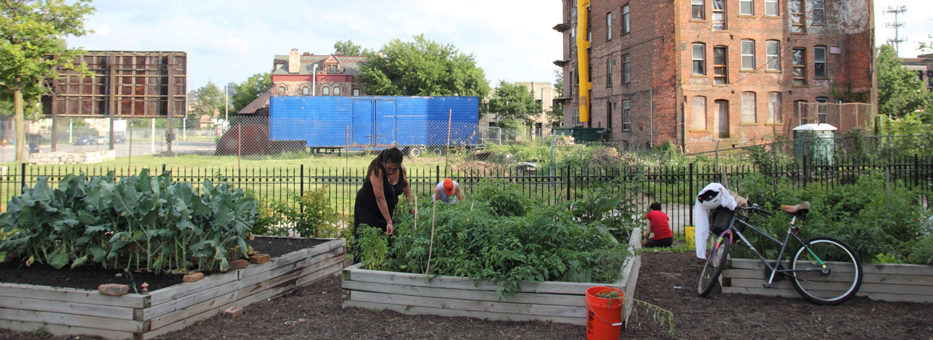 dem Ur-Gedanken des Urban Gardening folgend und daher sehr vielen Gemeinschaftsgärten…