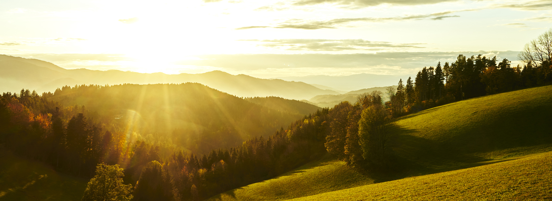 Beim achtsamen Wandern praktizieren wir gemeinsam achtsames Gehen, in Stille und im Austausch.